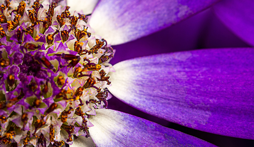 Macpherson Kelley Completes First 3E On-prem to Cloud Migration in Asia-Pacific